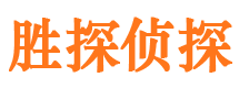 鱼峰市私家侦探